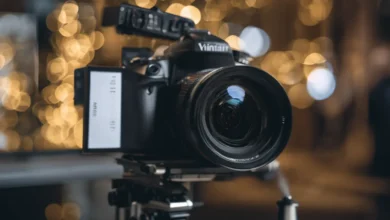 Venture capital market Powerful Trends & Insights