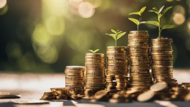 Financial freedom roadmap Superior Guide Now!